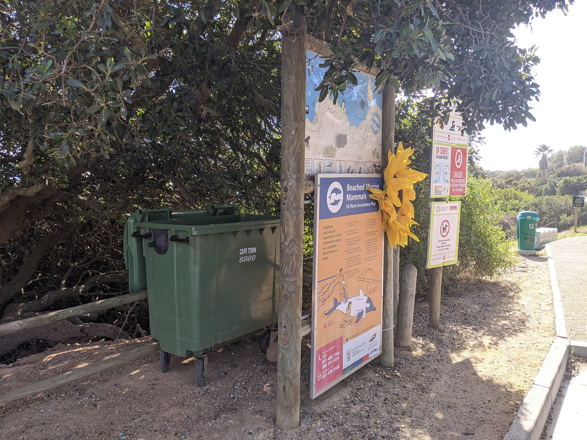 Recycling in Llandudno